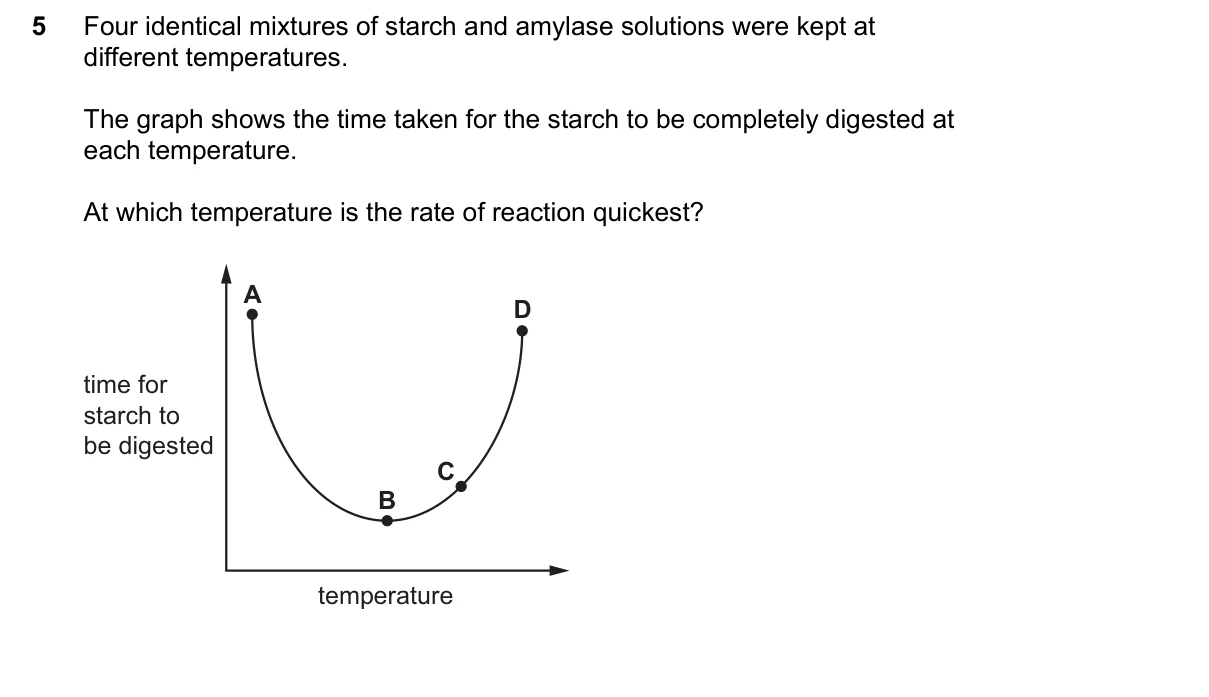 Question 5, June 2026, 0610 Paper 11