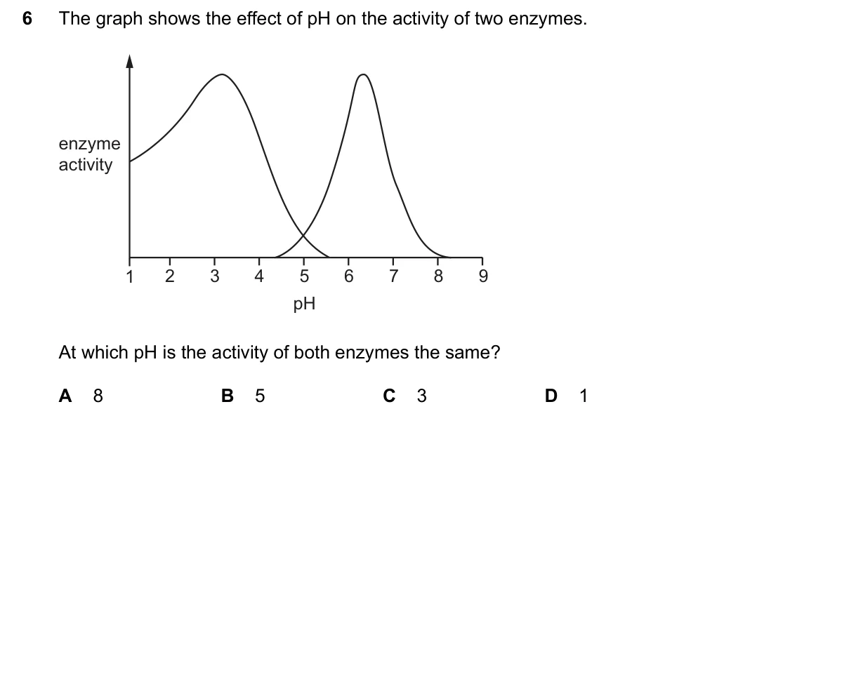 Question 6, June 2026, 0610 Paper 11