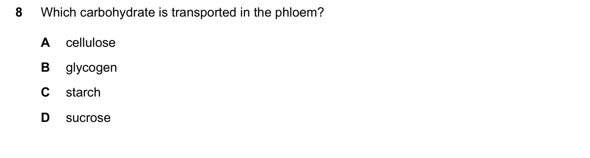 Question 8, June 2026, 0610 Paper 11