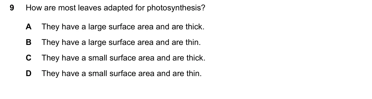 Question 9, June 2026, 0610 Paper 11