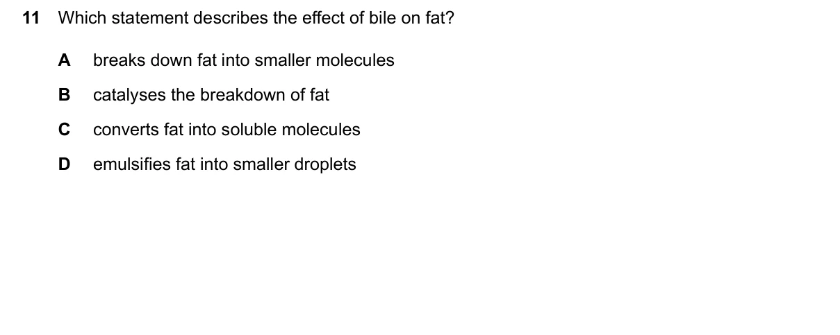 Question 11, June 2026, 0610 Paper 21