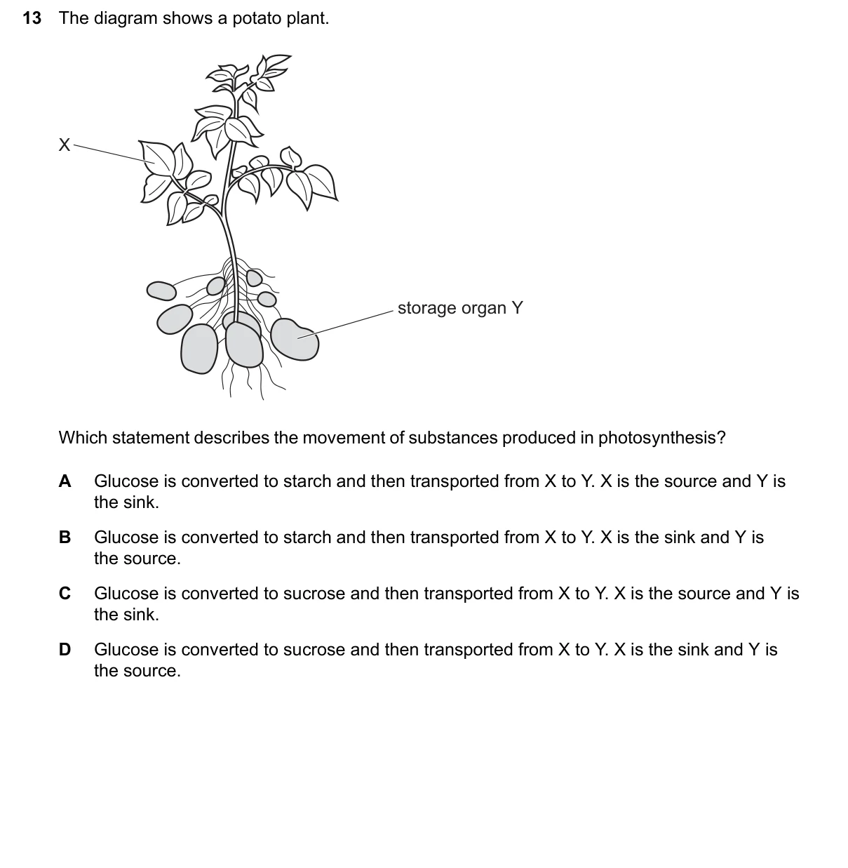 Question 13, June 2026, 0610 Paper 21