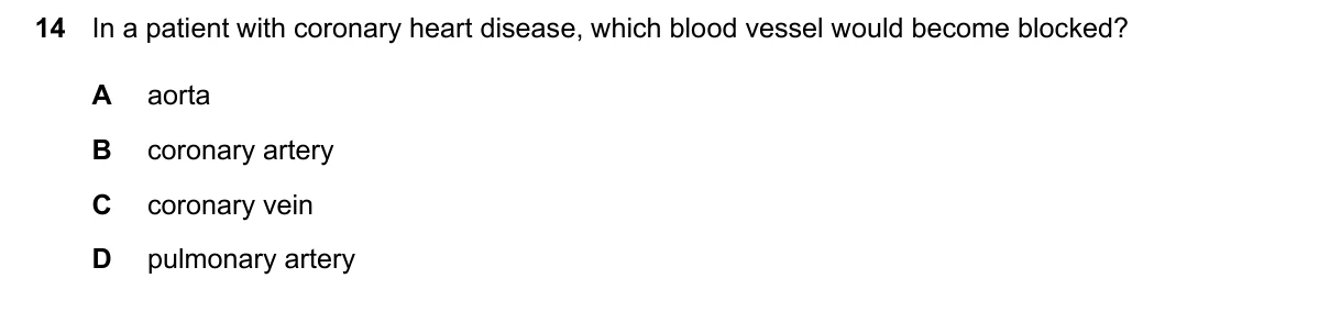Question 14, June 2026, 0610 Paper 21