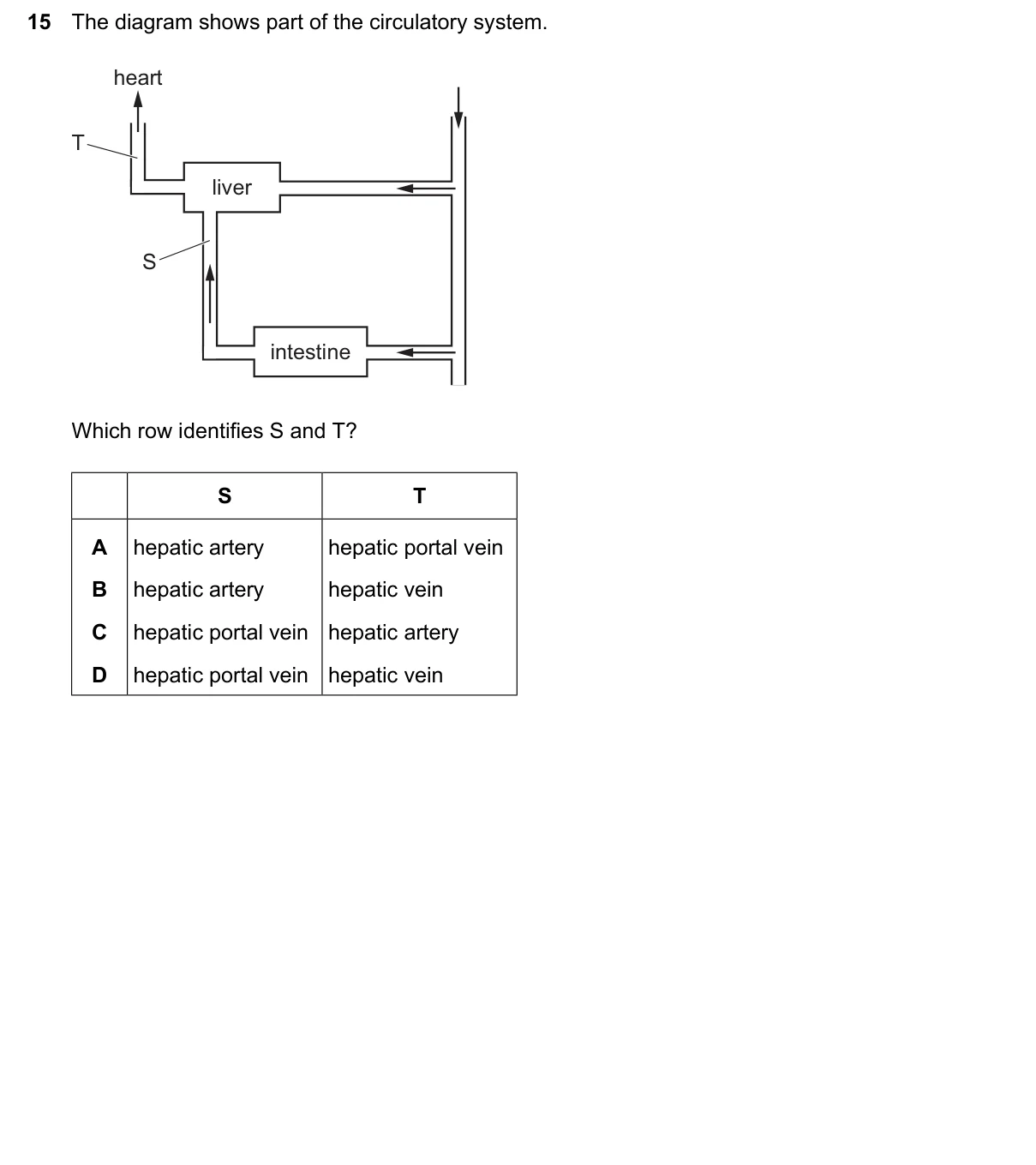 Question 15, June 2026, 0610 Paper 21
