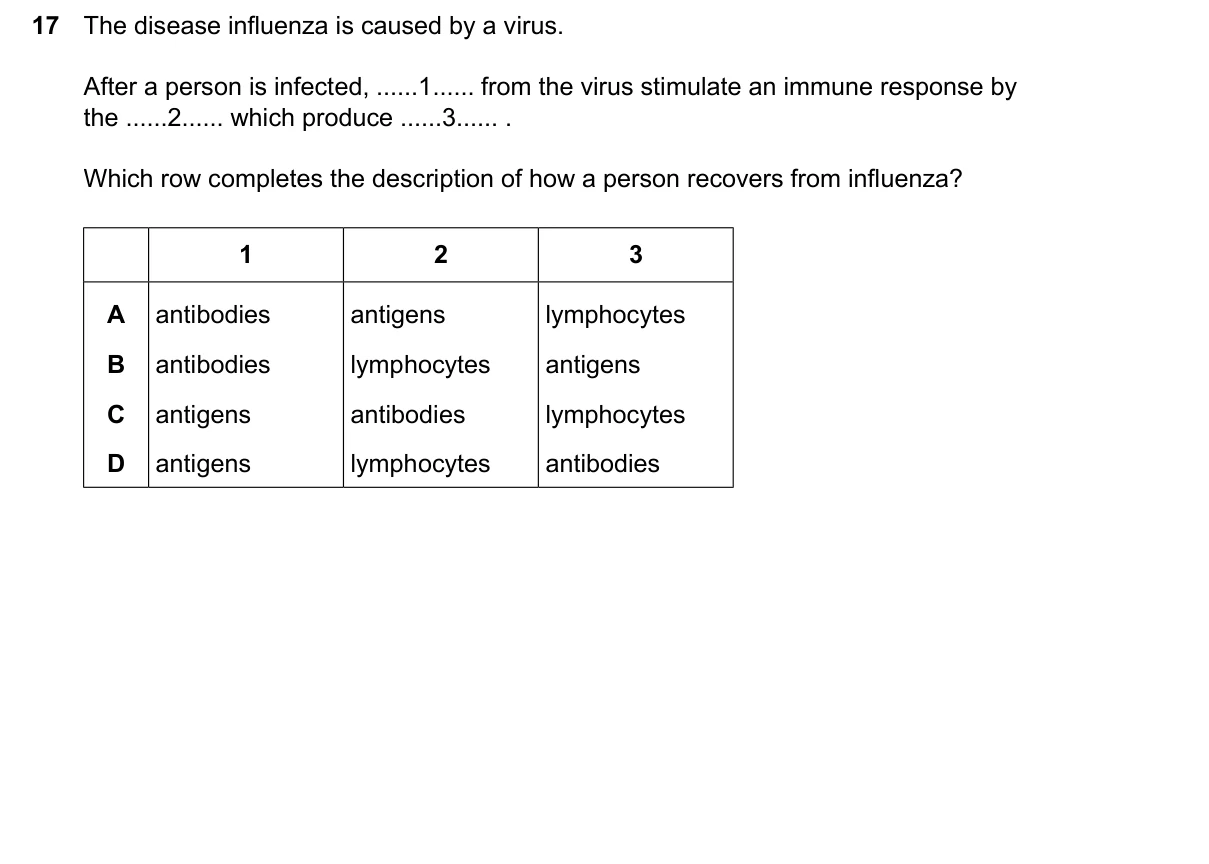 Question 17, June 2026, 0610 Paper 21
