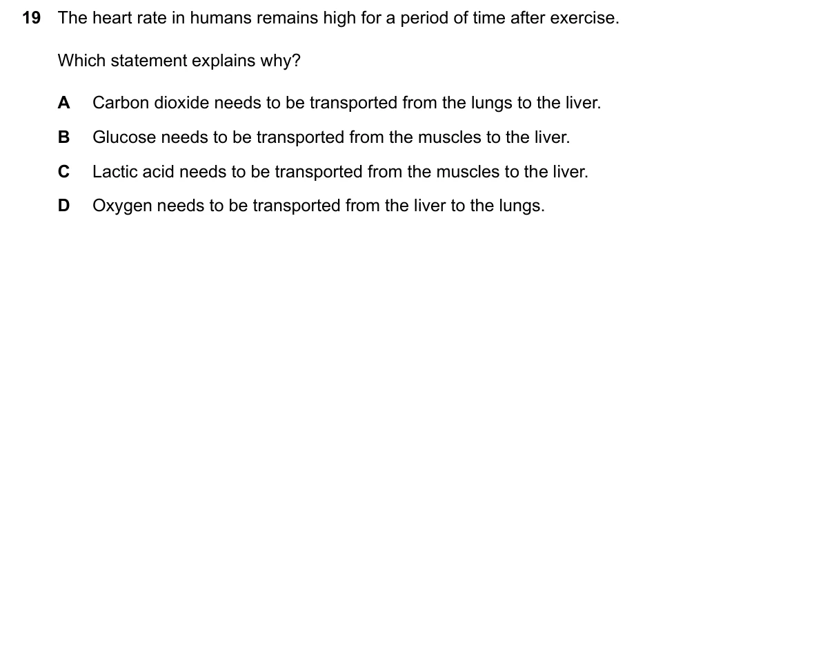 Question 19, June 2026, 0610 Paper 21