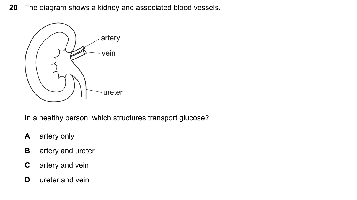 Question 20, June 2026, 0610 Paper 21