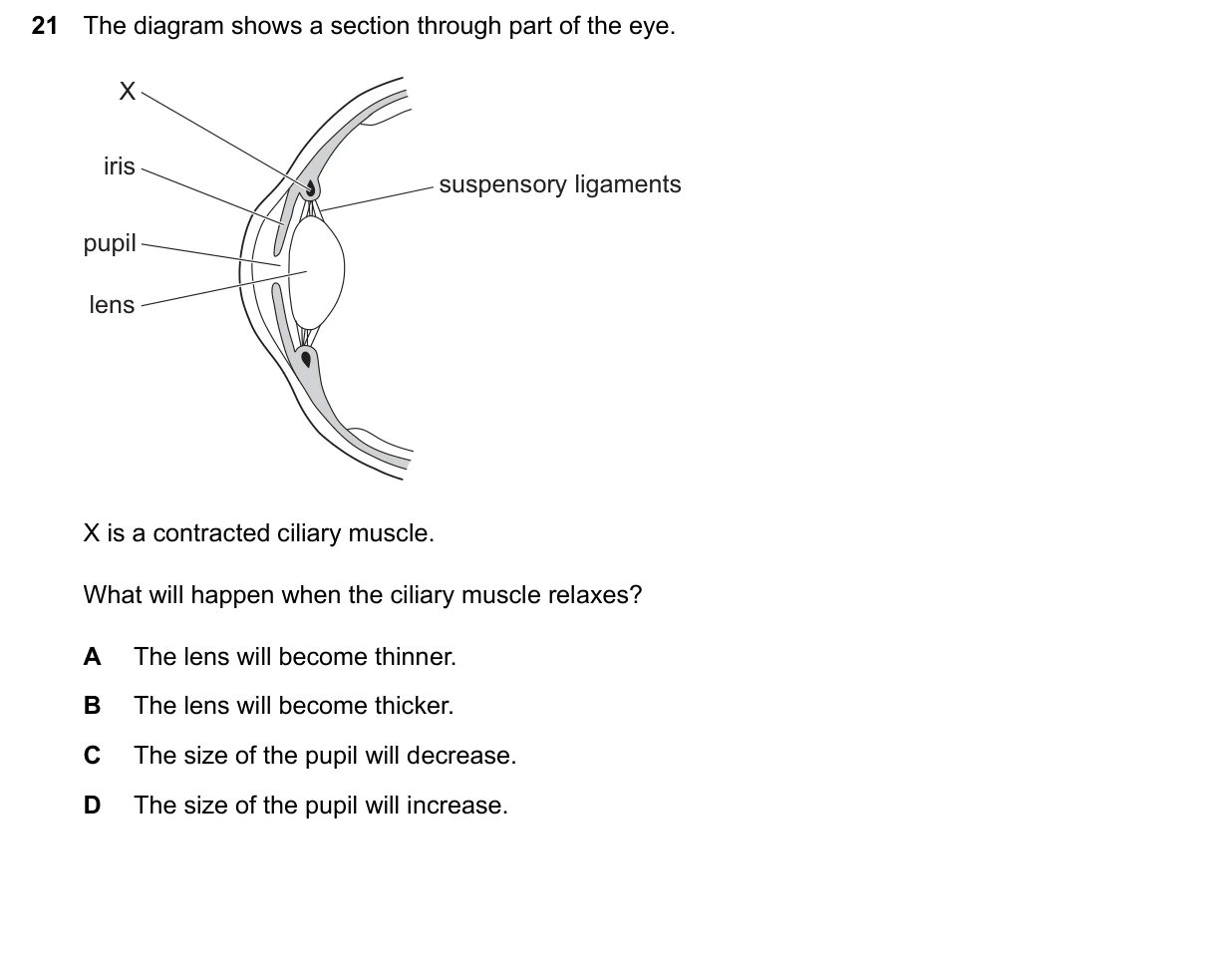 Question 21, June 2026, 0610 Paper 21