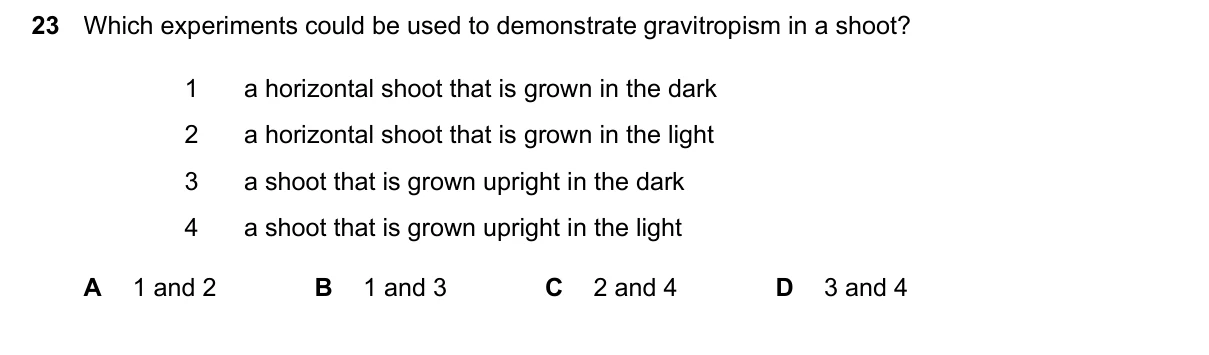 Question 23, June 2026, 0610 Paper 21