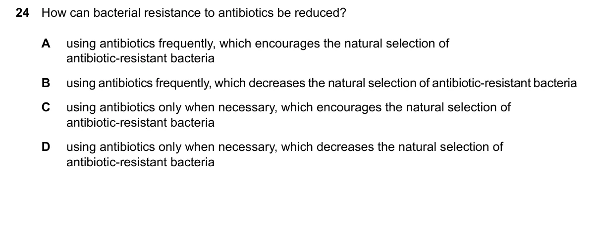 Question 24, June 2026, 0610 Paper 21