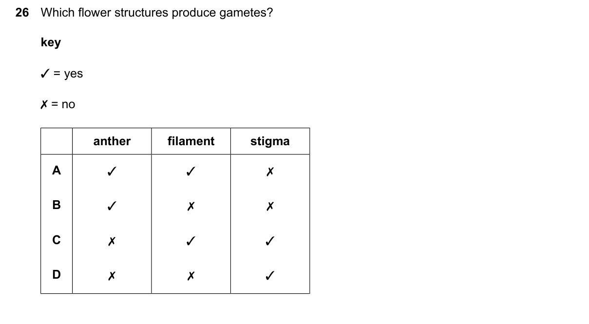 Question 26, June 2026, 0610 Paper 21