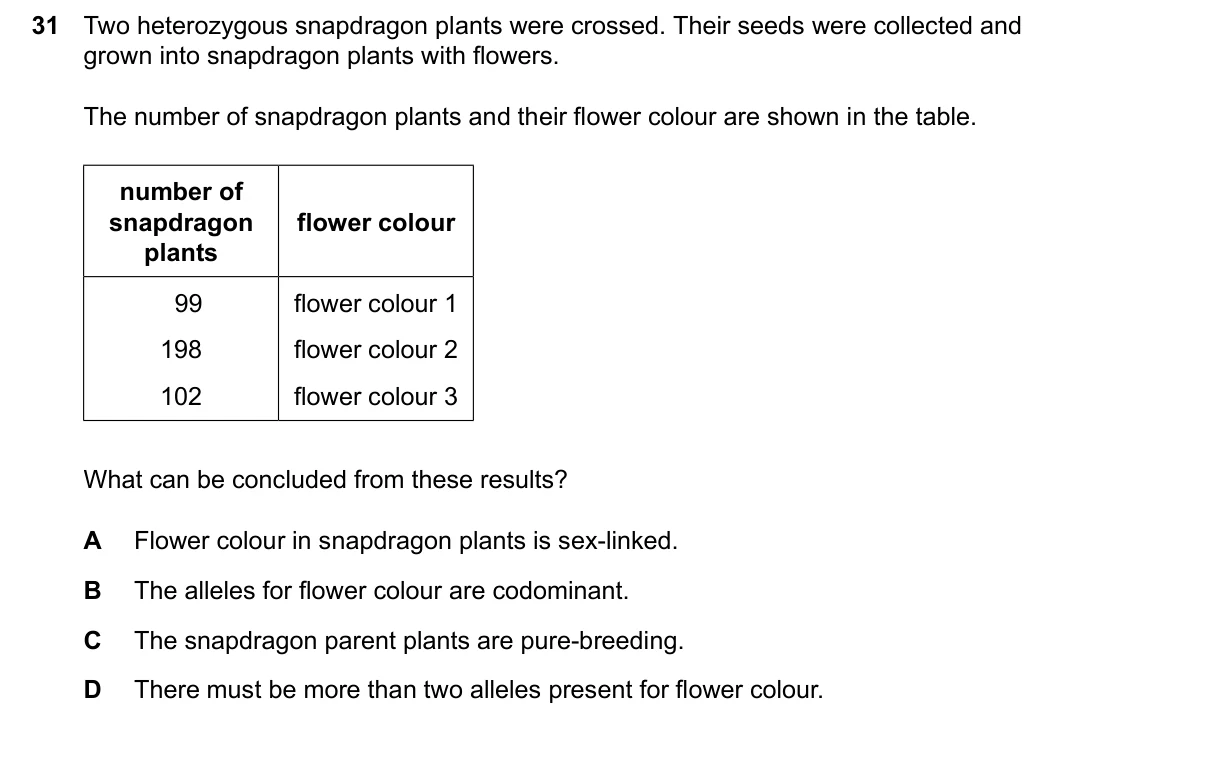 Question 31, June 2026, 0610 Paper 21