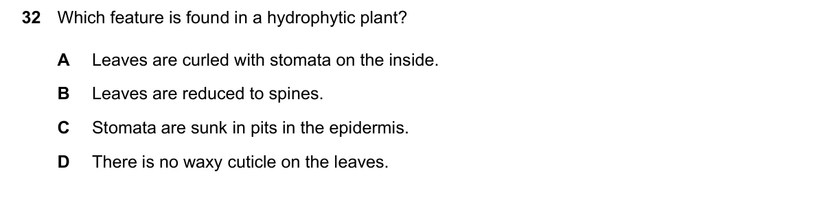 Question 32, June 2026, 0610 Paper 21