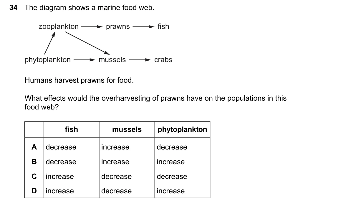 Question 34, June 2026, 0610 Paper 21