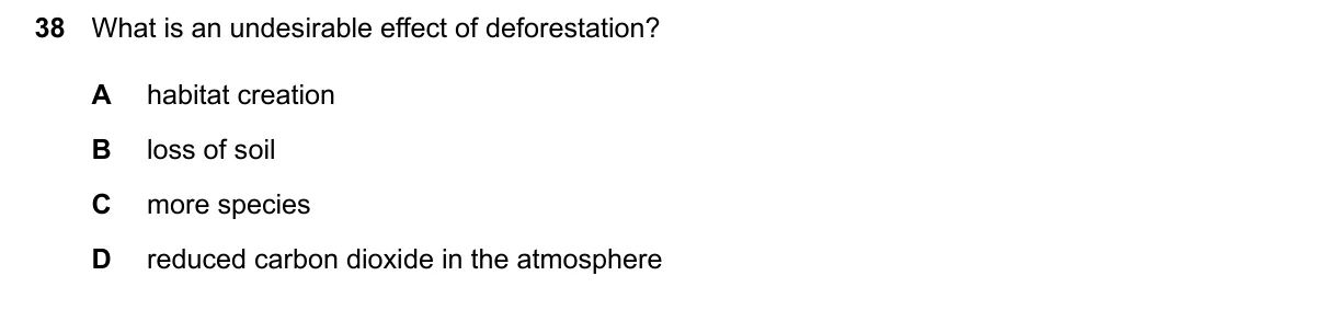 Question 38, June 2026, 0610 Paper 21