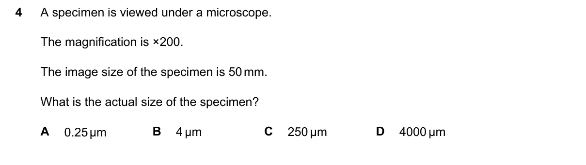 Question 4, June 2026, 0610 Paper 21