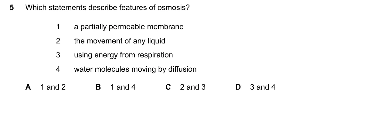 Question 5, June 2026, 0610 Paper 21