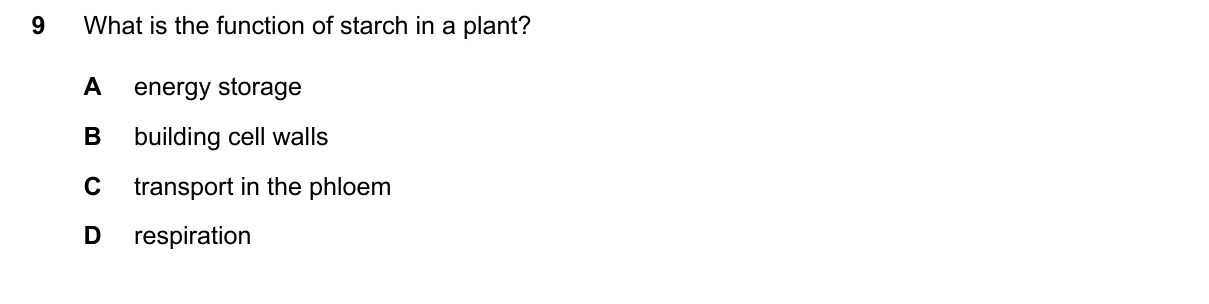 Question 9, June 2026, 0610 Paper 21