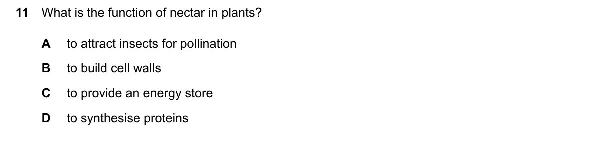 Question 11, June 2026, 0610 Paper 12