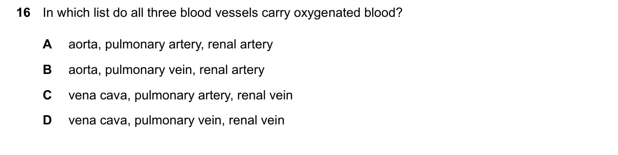Question 16, June 2026, 0610 Paper 12