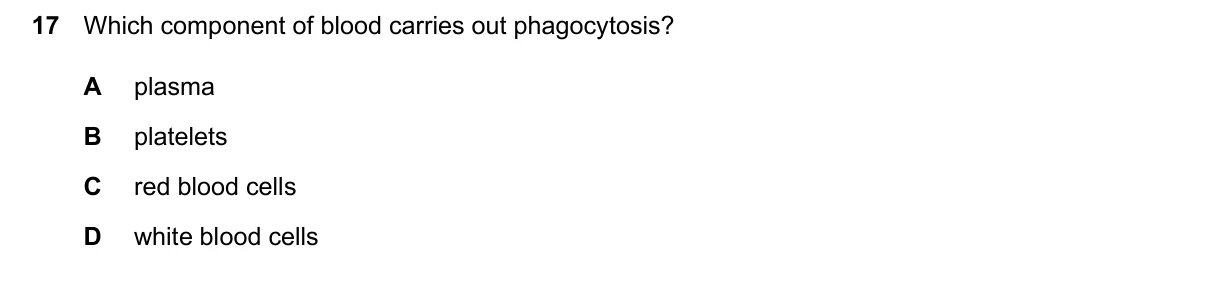 Question 17, June 2026, 0610 Paper 12