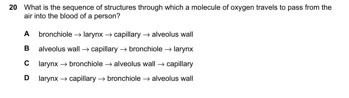 Question 20, June 2026, 0610 Paper 12