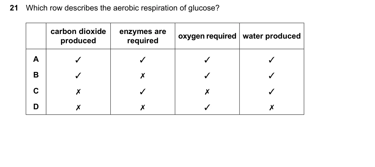 Question 21, June 2026, 0610 Paper 12