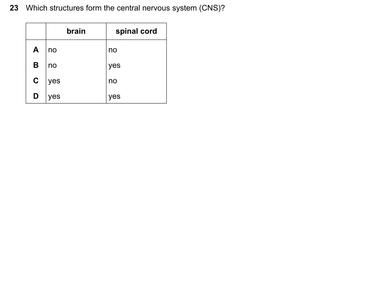 Question 23, June 2026, 0610 Paper 12