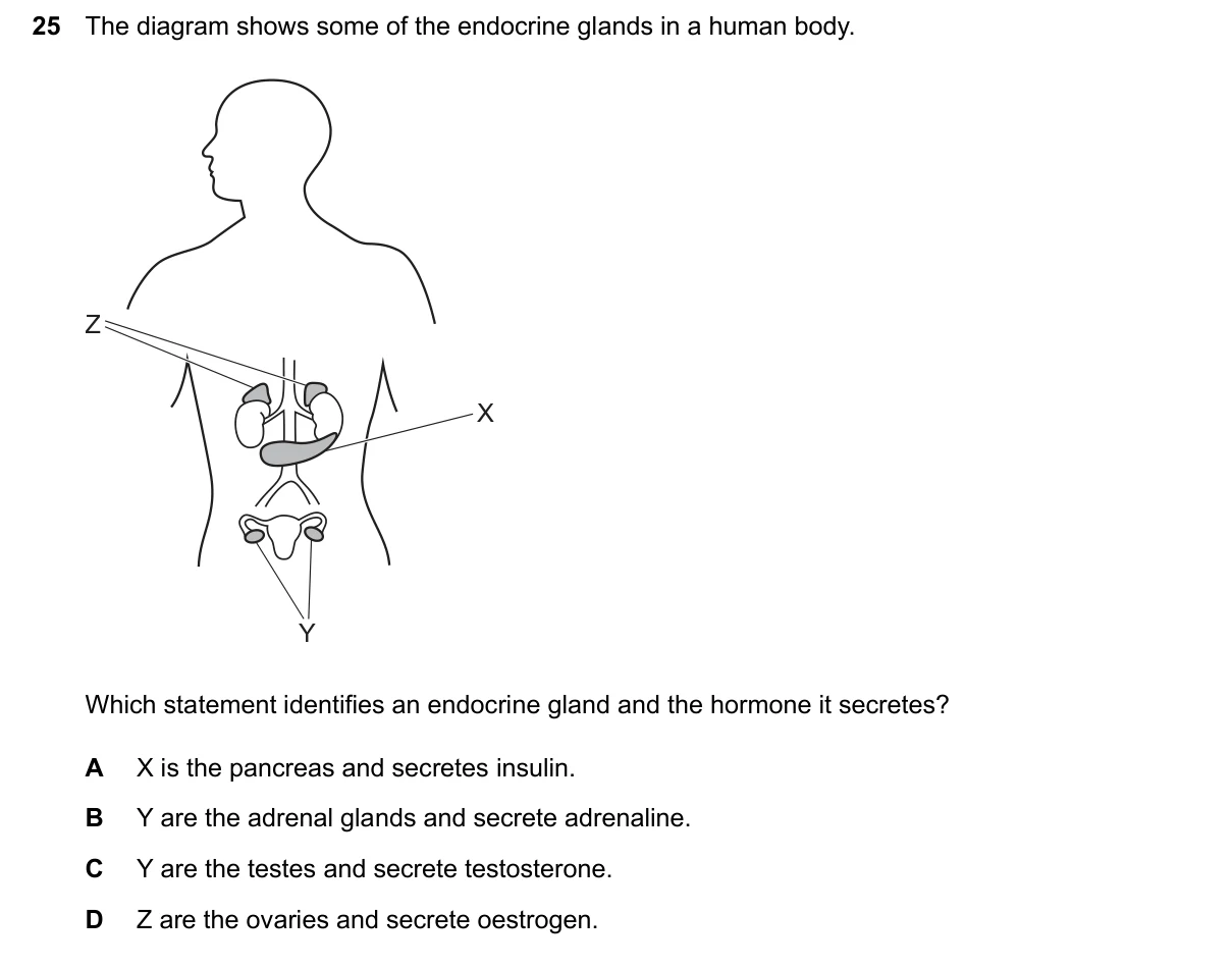 Question 25, June 2026, 0610 Paper 12