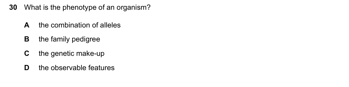 Question 30, June 2026, 0610 Paper 12