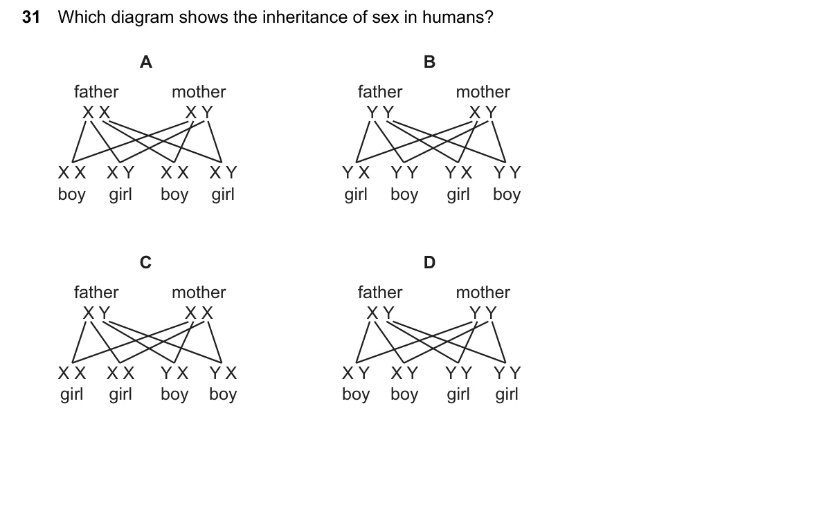 Question 31, June 2026, 0610 Paper 12