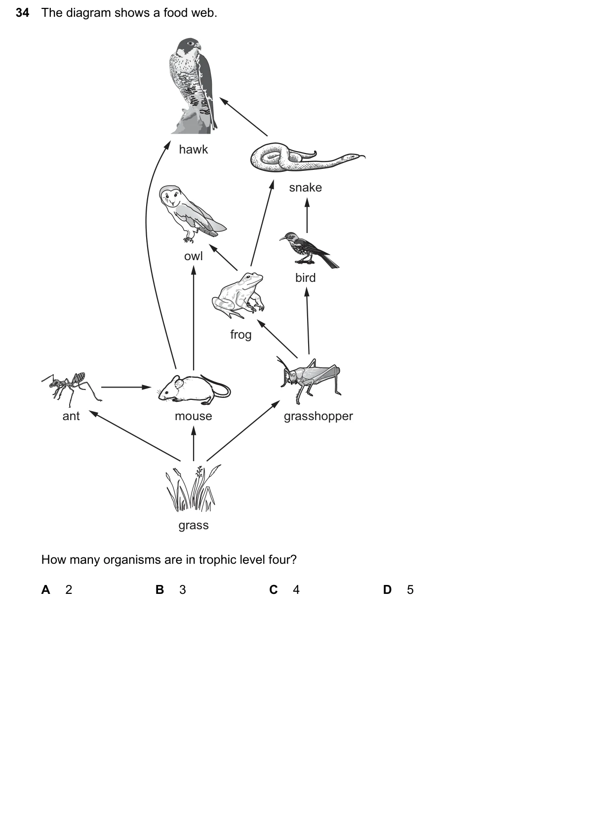 Question 34, June 2026, 0610 Paper 12