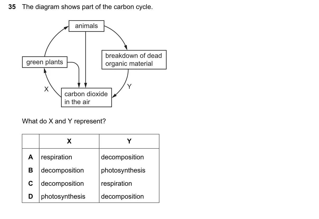 Question 35, June 2026, 0610 Paper 12