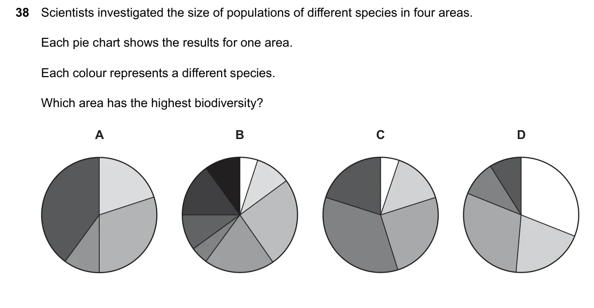 Question 38, June 2026, 0610 Paper 12