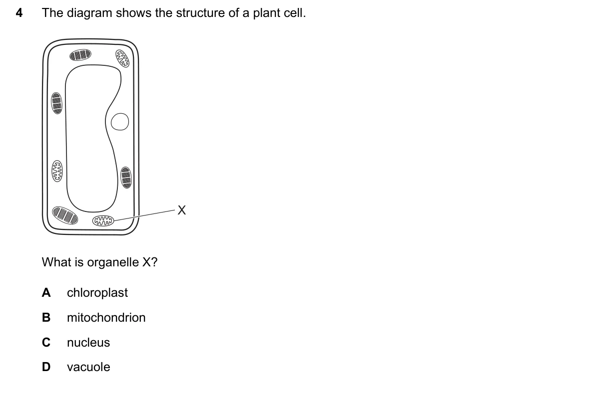 Question 4, June 2026, 0610 Paper 12