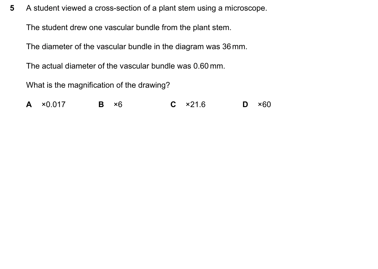 Question 5, June 2026, 0610 Paper 12