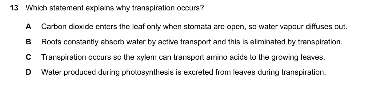Question 13, June 2026, 0610 Paper 22
