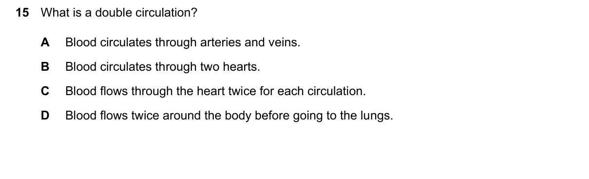 Question 15, June 2026, 0610 Paper 22
