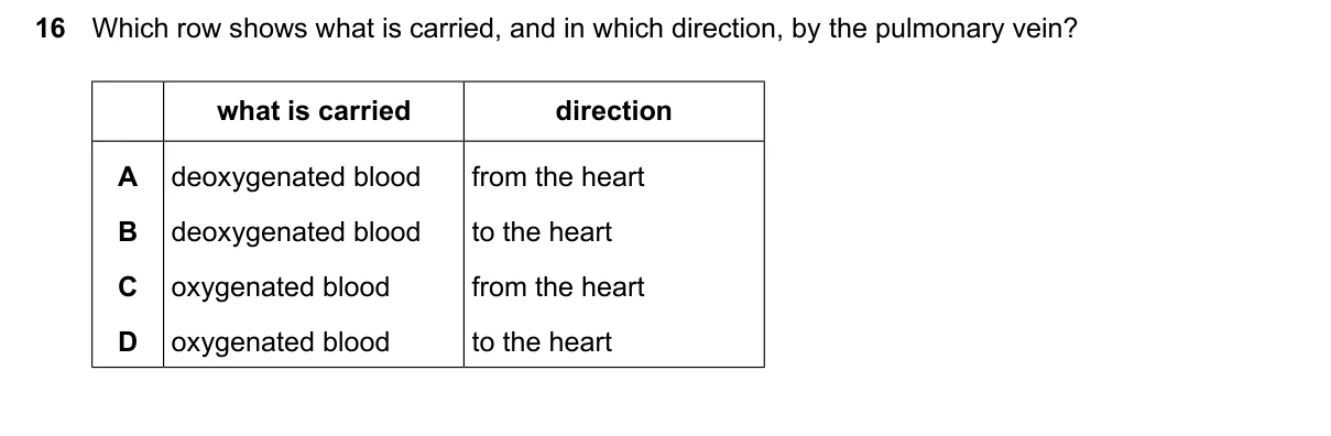 Question 16, June 2026, 0610 Paper 22