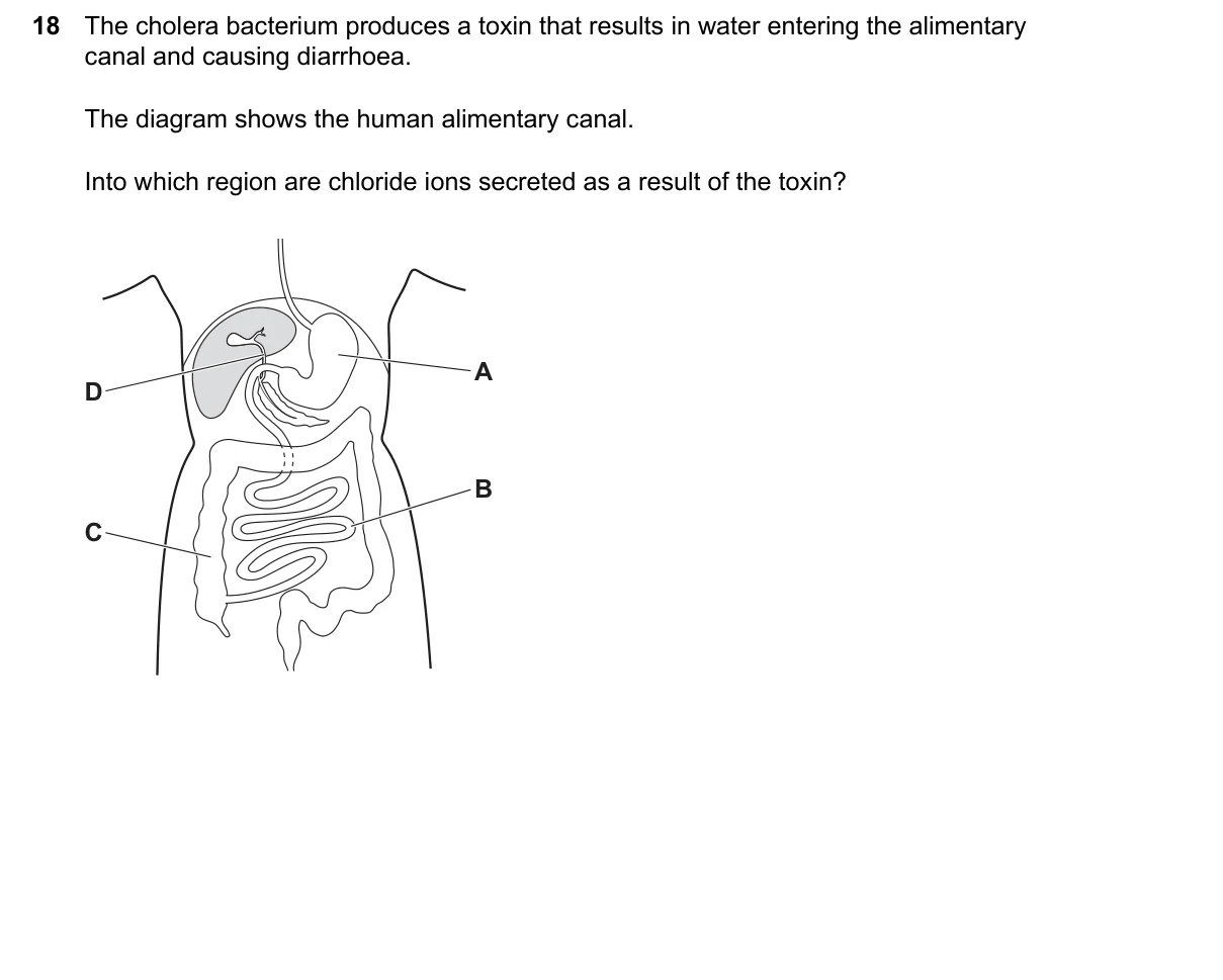 Question 18, June 2026, 0610 Paper 22