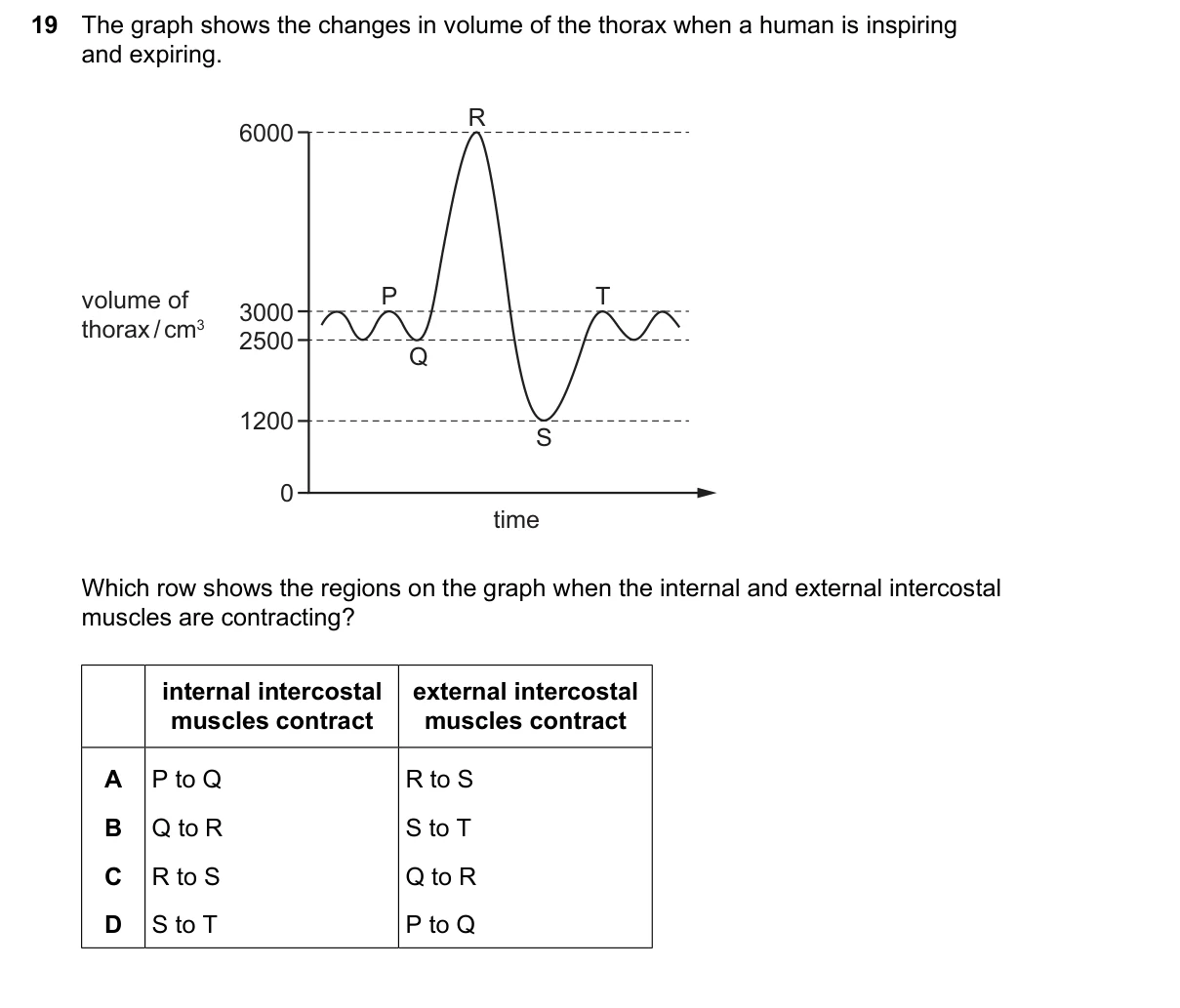 Question 19, June 2026, 0610 Paper 22
