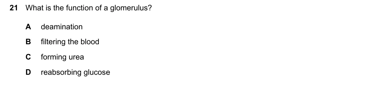 Question 21, June 2026, 0610 Paper 22