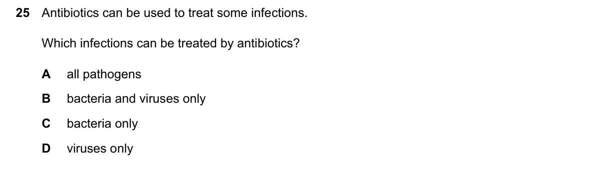 Question 25, June 2026, 0610 Paper 22