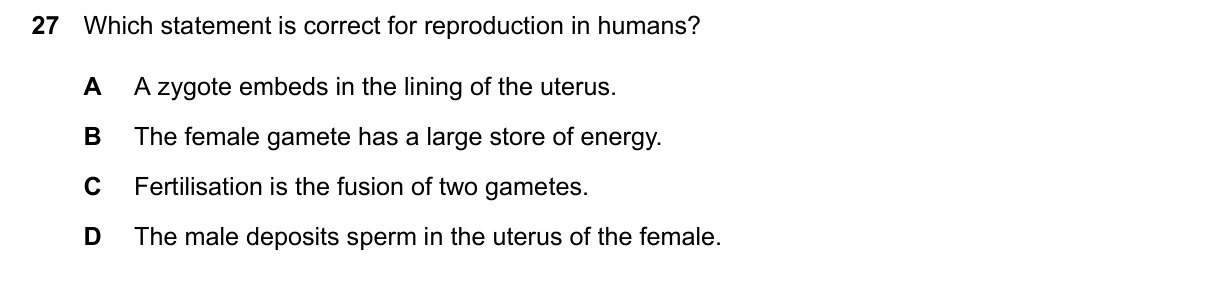 Question 27, June 2026, 0610 Paper 22