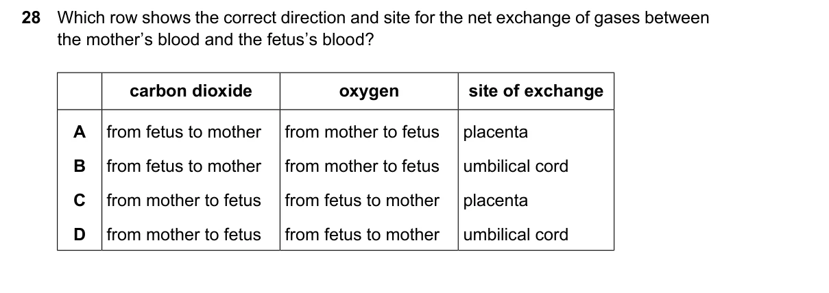 Question 28, June 2026, 0610 Paper 22