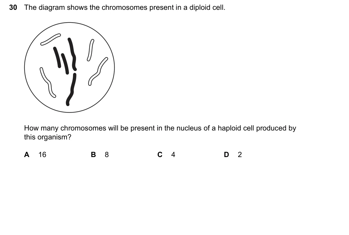 Question 30, June 2026, 0610 Paper 22