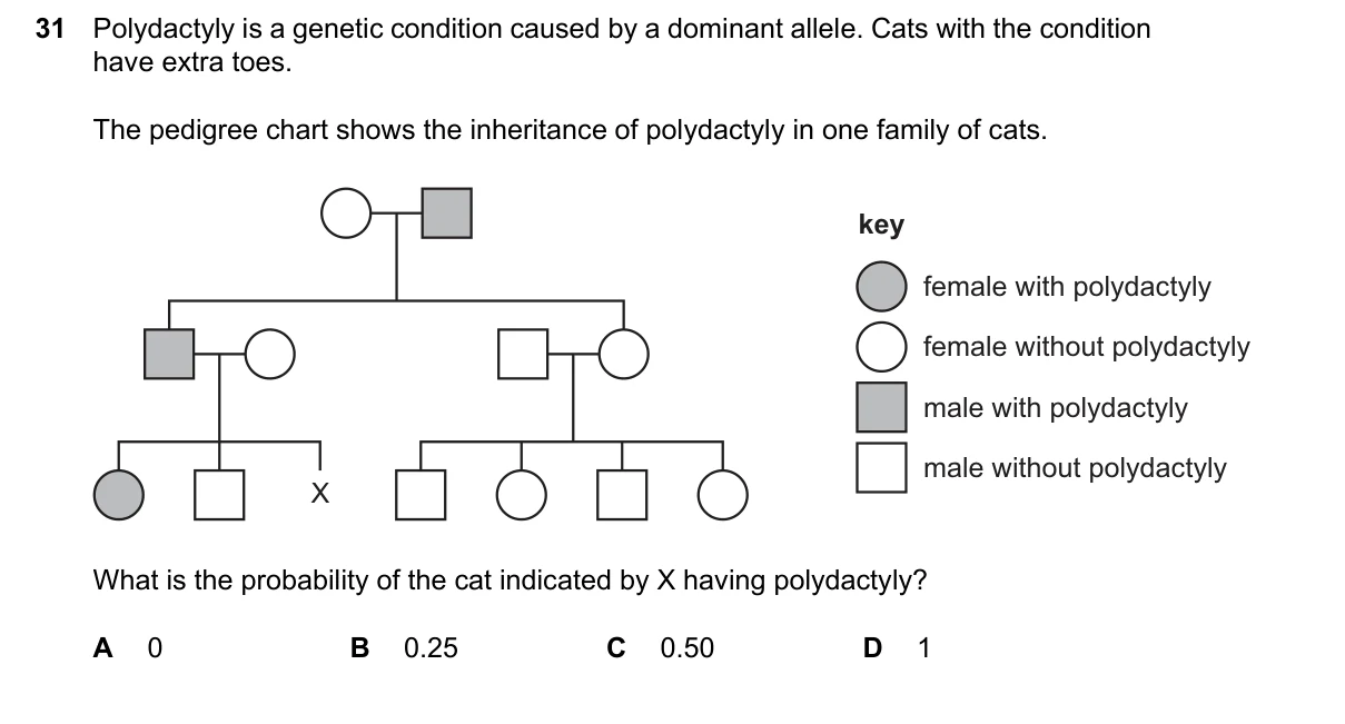 Question 31, June 2026, 0610 Paper 22