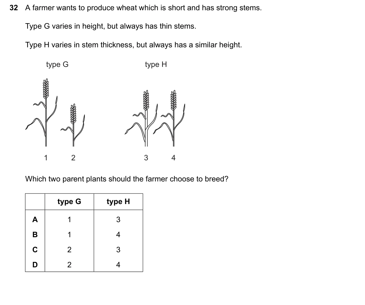 Question 32, June 2026, 0610 Paper 22