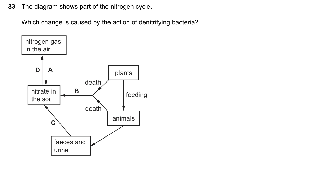 Question 33, June 2026, 0610 Paper 22
