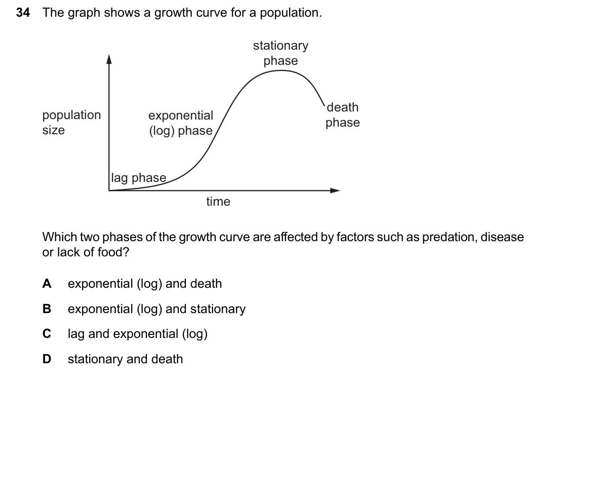 Question 34, June 2026, 0610 Paper 22